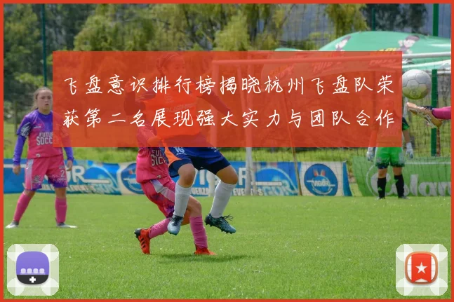 飞盘意识排行榜揭晓杭州飞盘队荣获第二名展现强大实力与团队合作精神