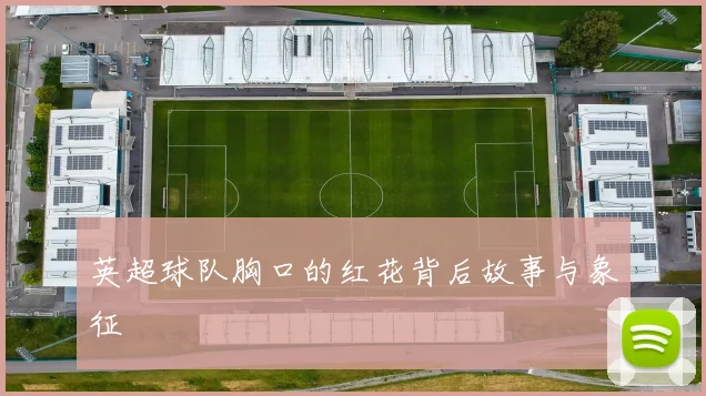 英超球队胸口的红花背后故事与象征