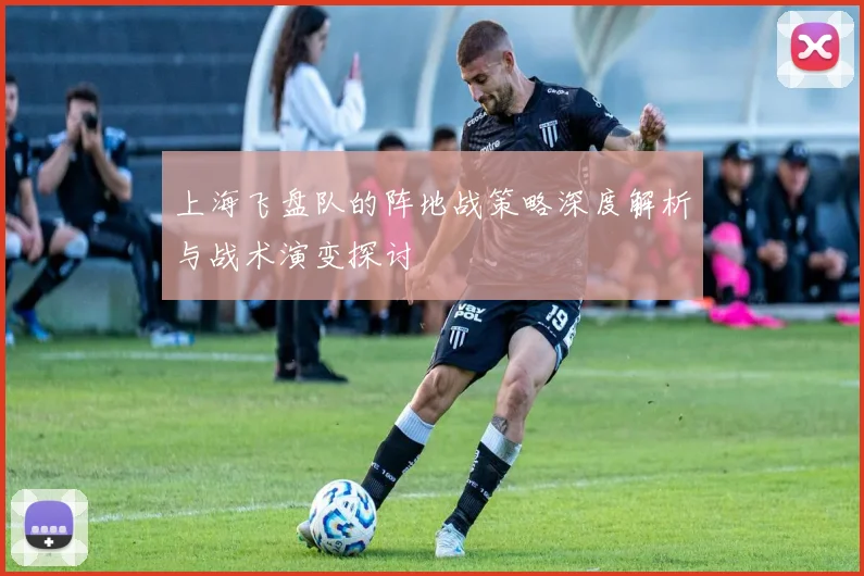 上海飞盘队的阵地战策略深度解析与战术演变探讨