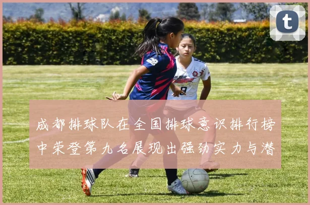 成都排球队在全国排球意识排行榜中荣登第九名展现出强劲实力与潜力